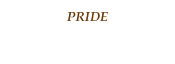 PRIDE